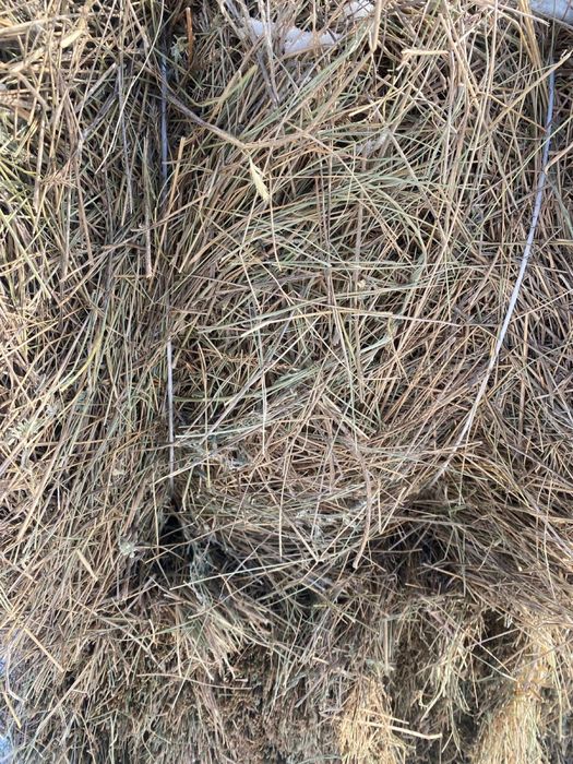 Продам сено в тюках