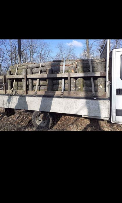 Lemne de foc de stejar