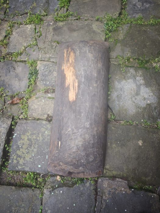 нощви големи стари