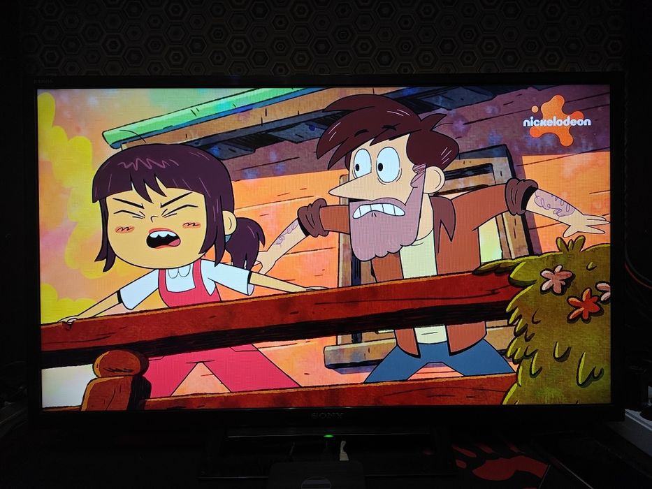 Телевизор Sony Bravia