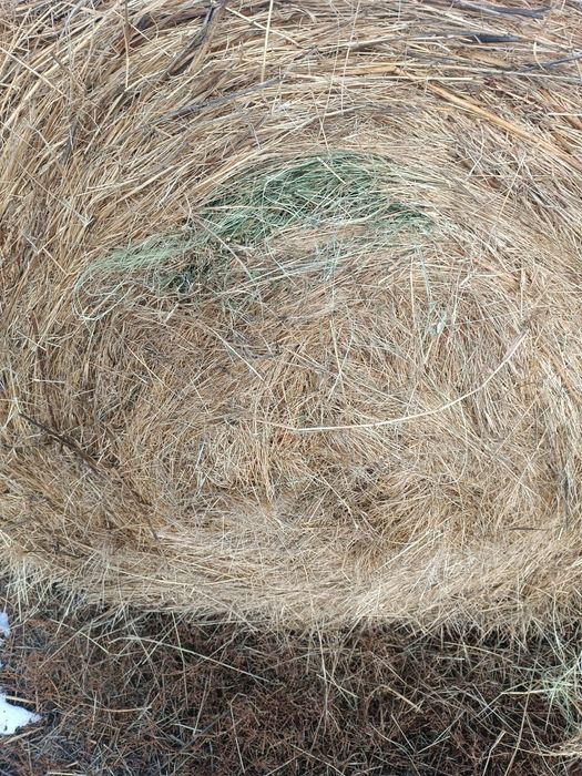 Продам сено, разнотравье.