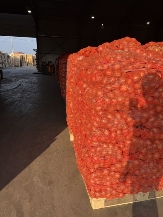 Ceapa 50/70 uscata sac 10 kg