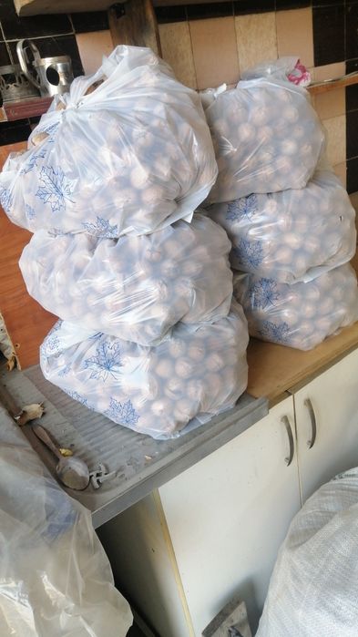 Продам орех свежий