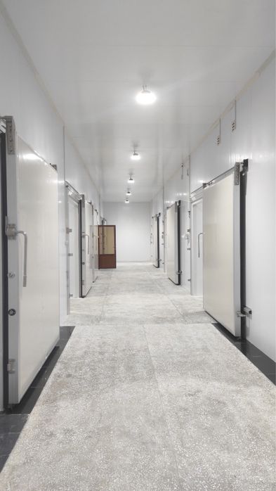 Muzlatgichlar va muzlatgichlar kalitlarga topshiriladi