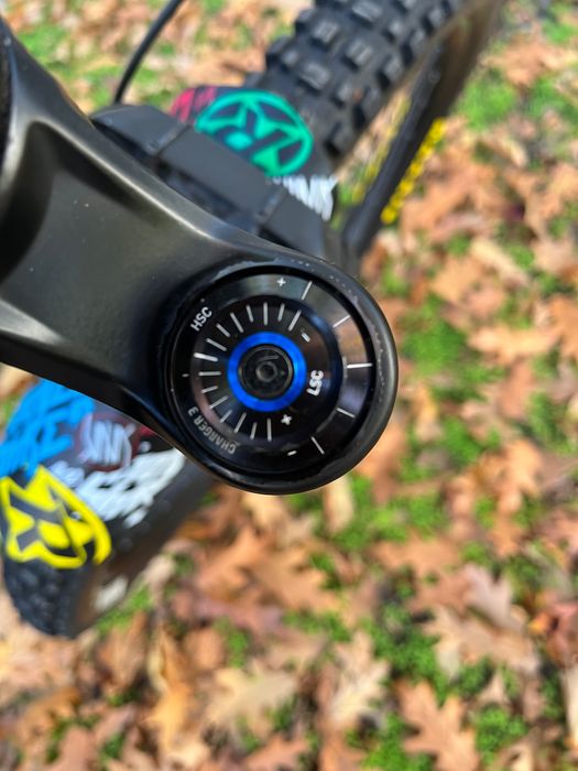 YT industies capra core1