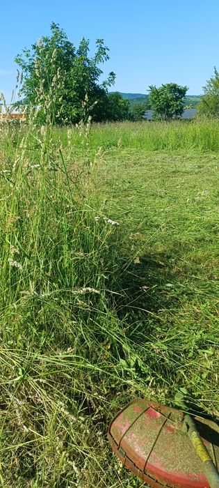 Косене Враца евтини цени.