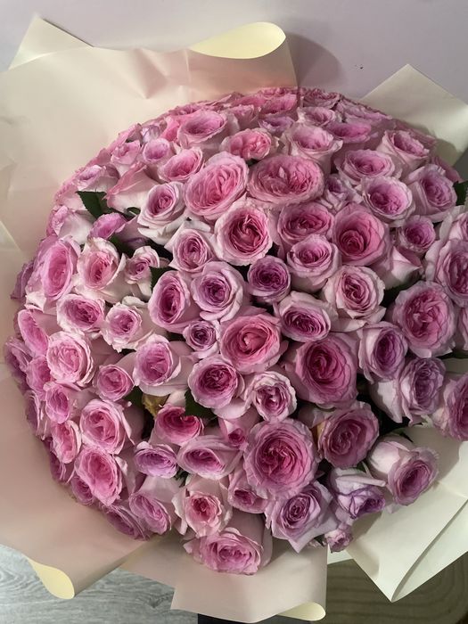 цветы 101роза свежие