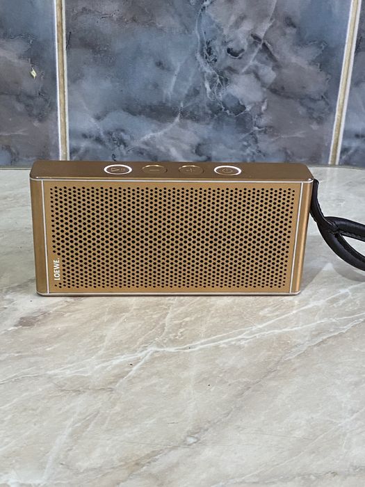 Boxa Portabila Loewe Klang M1