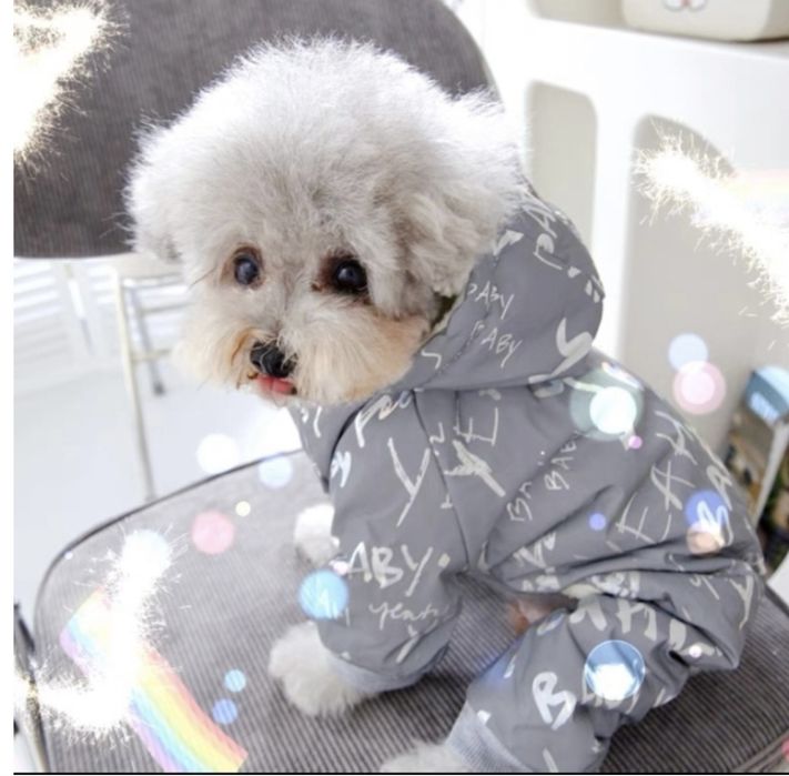 Комбинезон для собаки