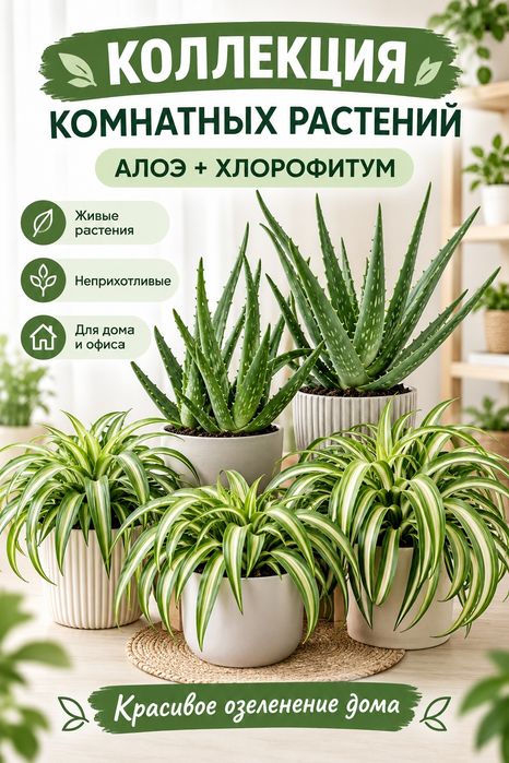 Садовые и домашние растения