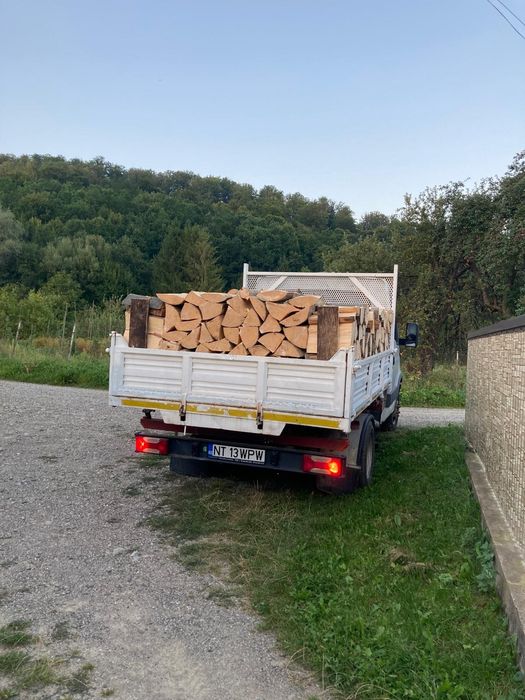 Lemne pentru foc, fag