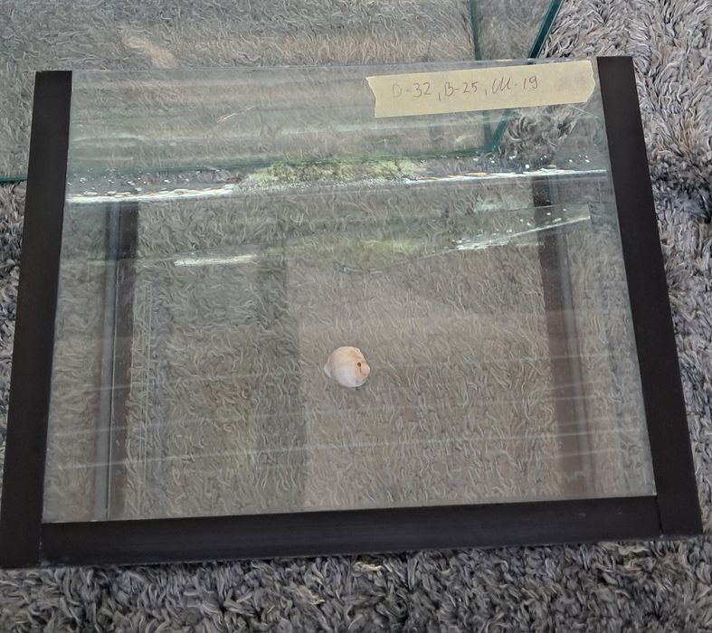 Продавам Аквариуми