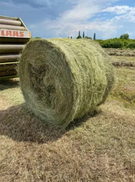 Vând baloți rotunzi fân