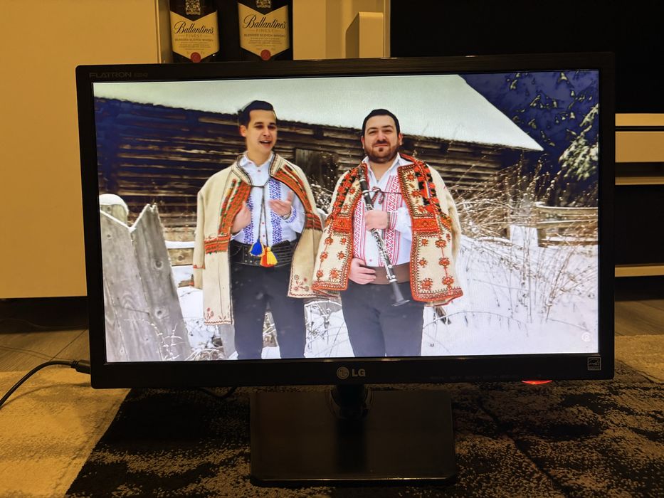 Monitor LG diagonala 22 inchi functional