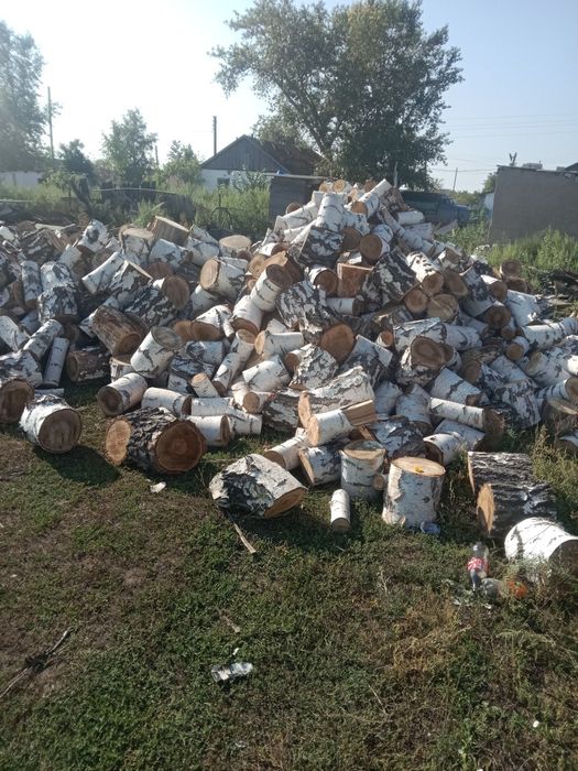 Продам дрова Берёза в Чурках