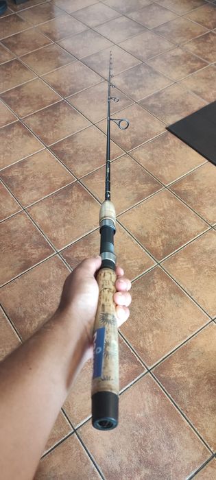 Lanseta Spinning Daiwa Heartland Walleye Graphite