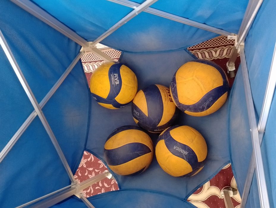 Ресейлік бисексуалдар