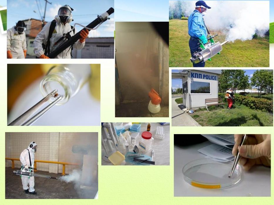 Обезпаразитяване на подпокривни пространства. Пръскане срещу хлебарки.