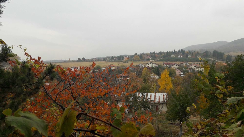 ПАРЦЕЛ СЪС СТАРА КЪЩА С. МАЛО БУЧИНО