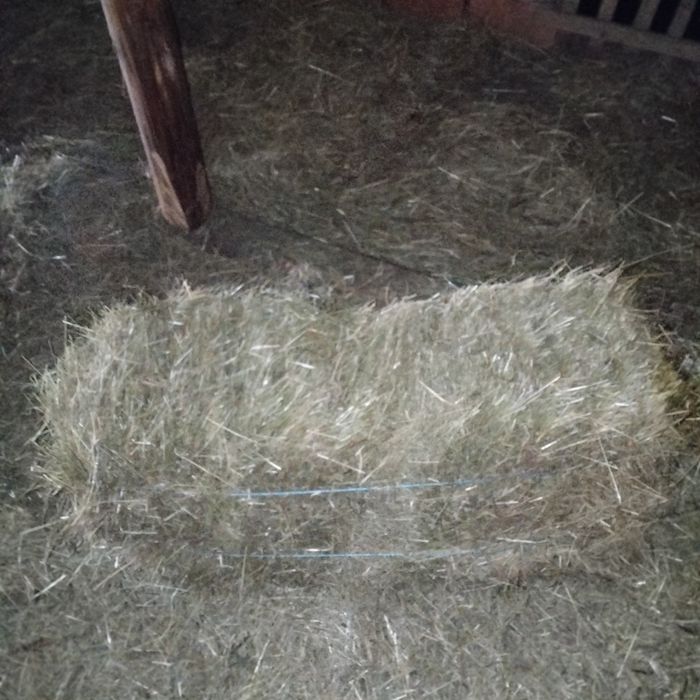 Vând baloți de fân