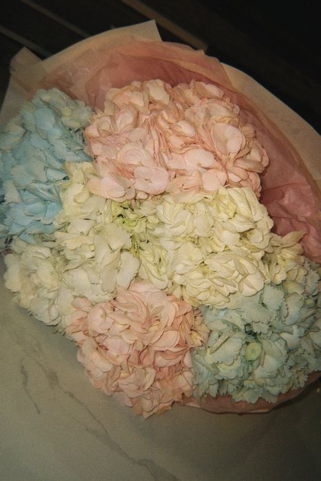 Гортензия цветы бүгін ғана алынған атырау қаласы хабарласаңыздар…………..