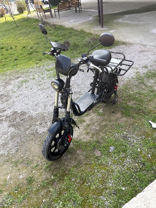 Monster rassiyadan olib kelingan