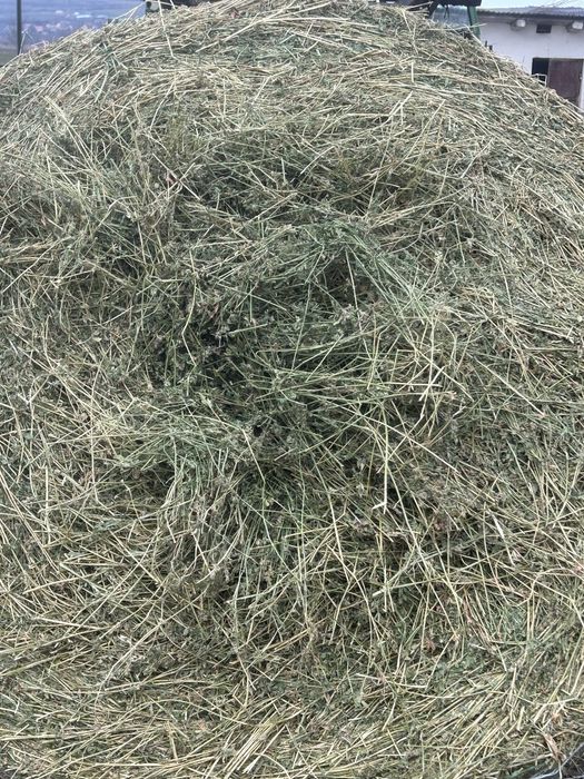 Baloti de paie, lucerna, fan