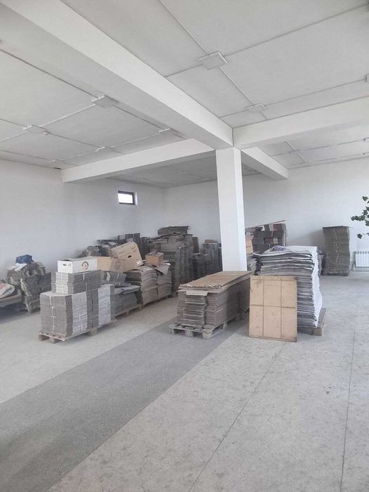 Bino (ko'chmas mulk)