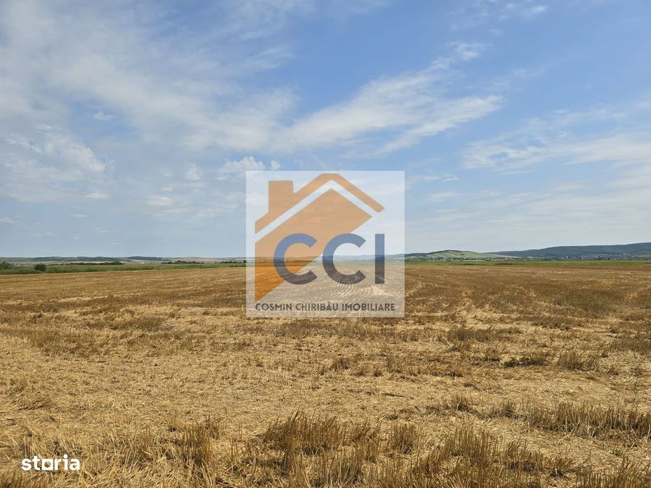 Teren intravilan– 50.000 mp, Bacău, Șoseaua Hol