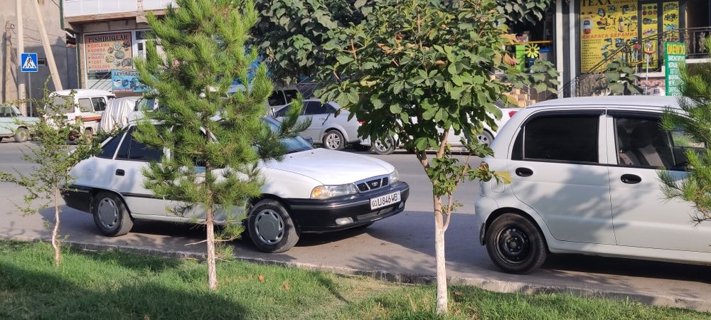 Nexiav 1 sons tranbilyor