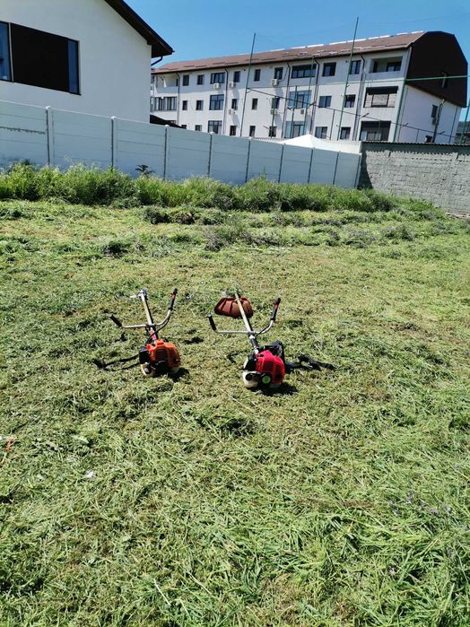Tund gazon iarbă bălării ierbicidăm