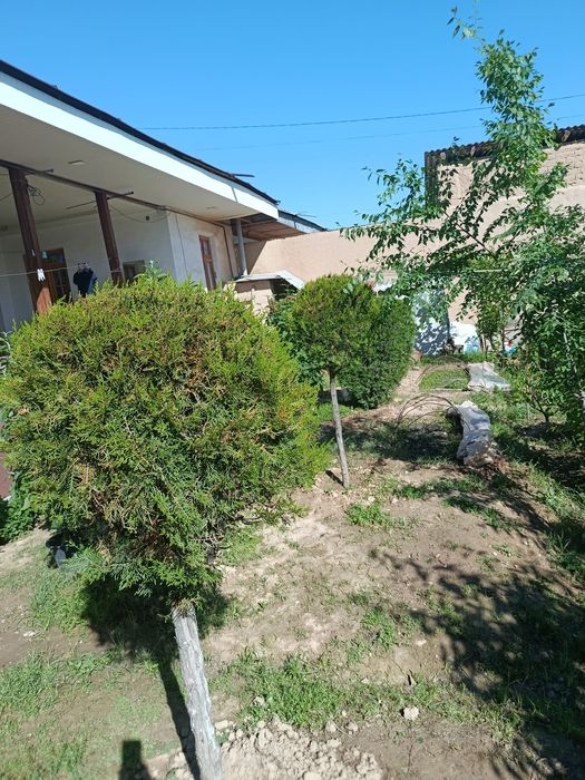 Shar,skelet va pryamoy archalar tayyor kesilgan