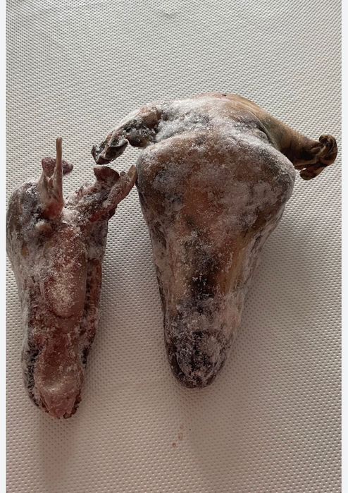 Продам голова барана -2000т