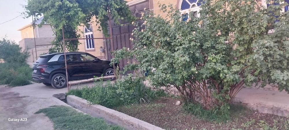 Навбахор янги кургонда ховли