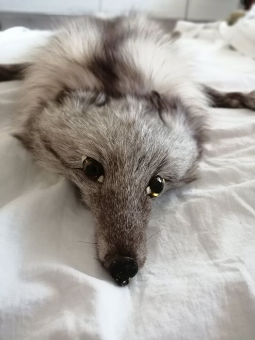 Шал и шапка от сребърна лисица