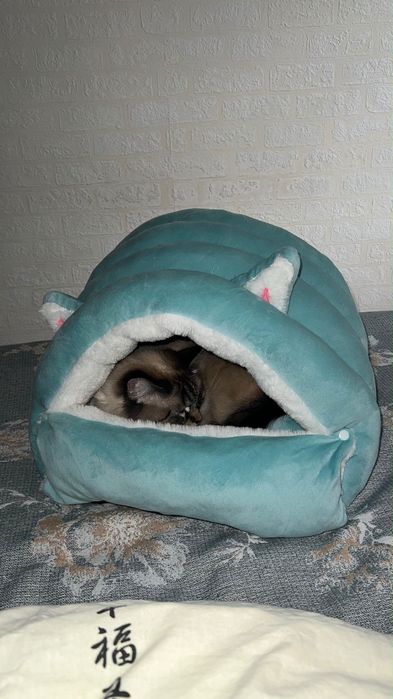 Лежанка для кошек