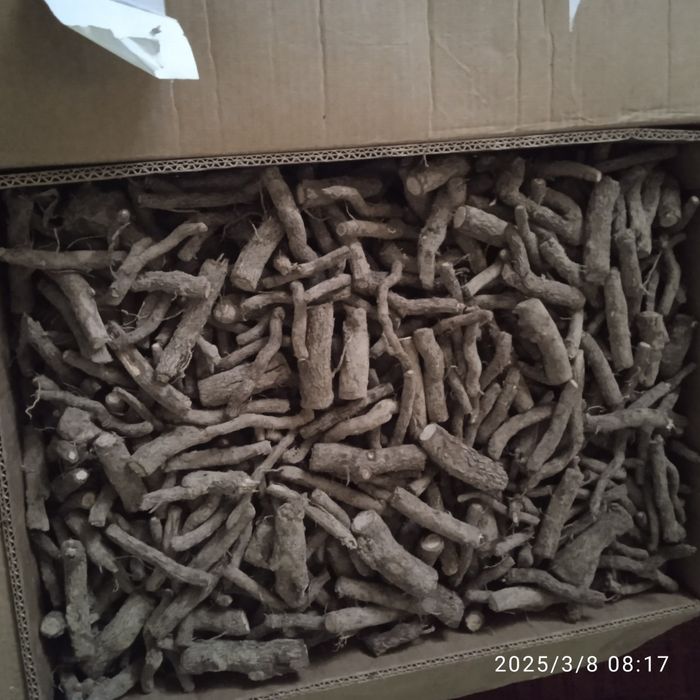 Павлония фте м1 9501 гарантия