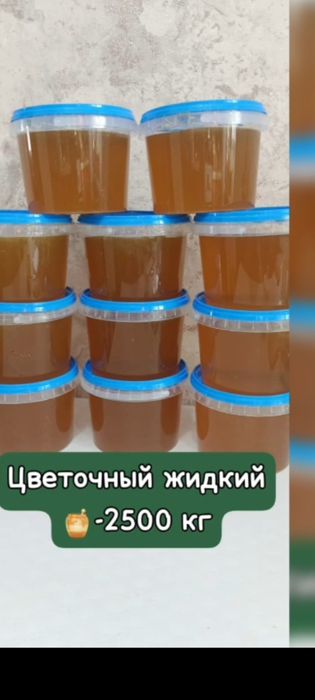 Мёд алтайский край.