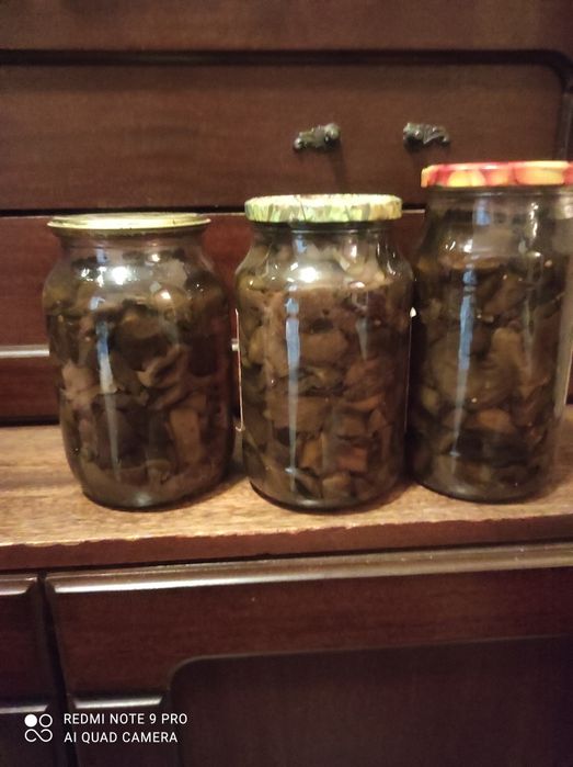 Продам соленья огурцы маринованные