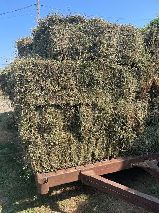 Baloti de vânzare coasa 123 în stare bună