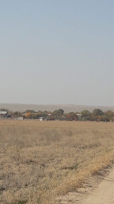 Земля заречный 24сотки торг