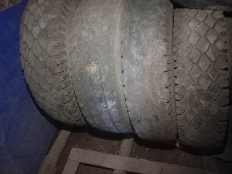 Продам        покрышки