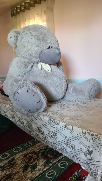 Momiq ayiq holati gòzal