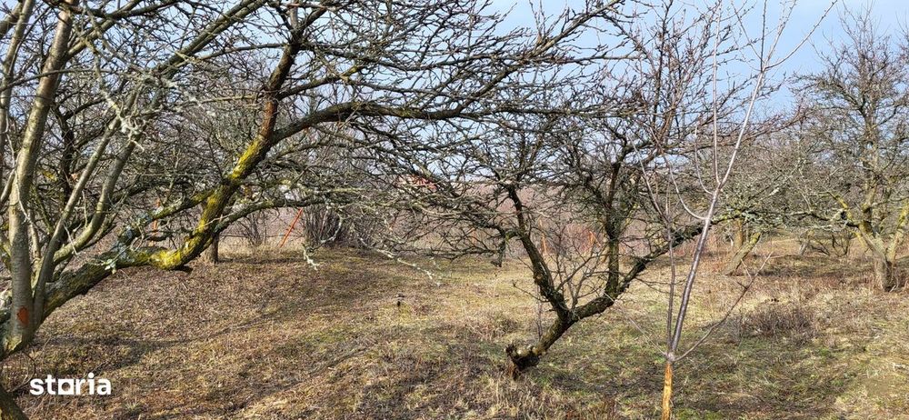 Teren Intravilan 43Ari zona Ortelec-Zalau intre case 4800eur/ar