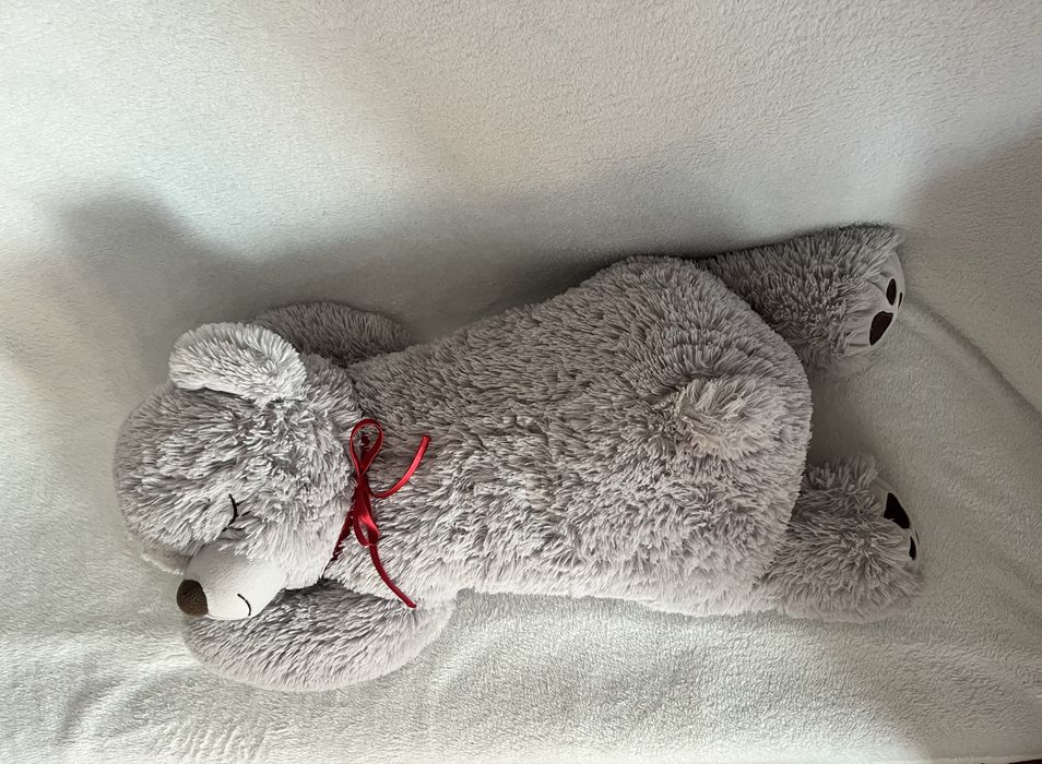 Спящо плюшено мече. Мечка