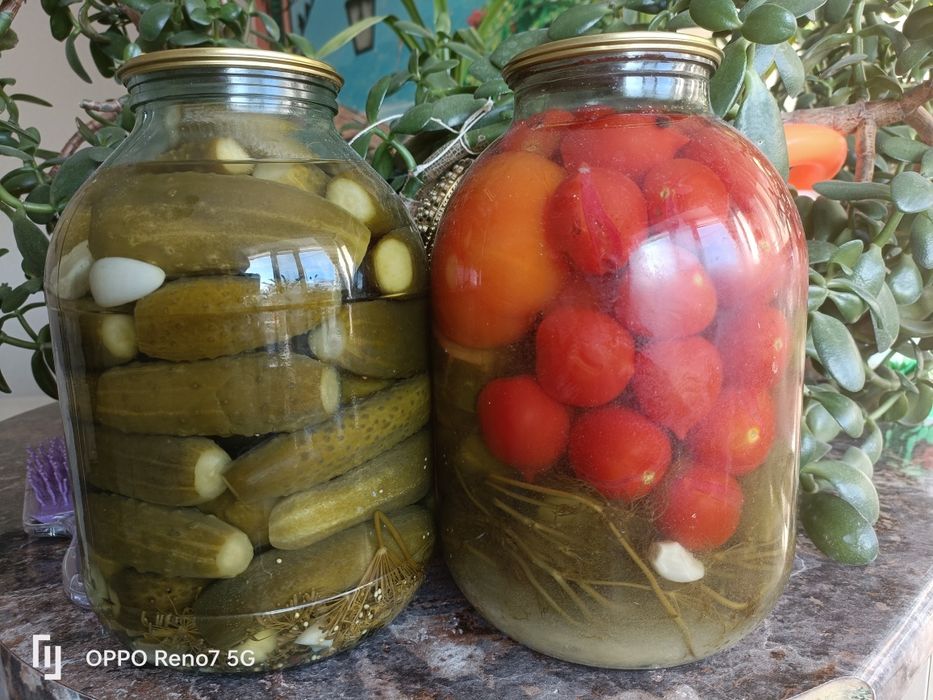 Соленые огурцы,помидоры