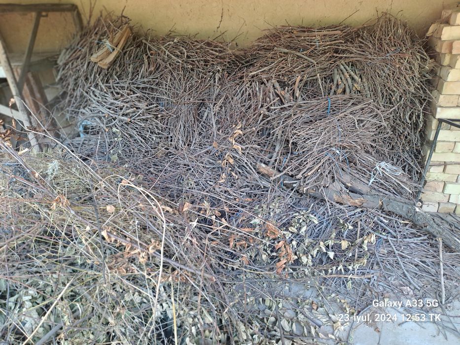 Дрова. Отин сотилади.