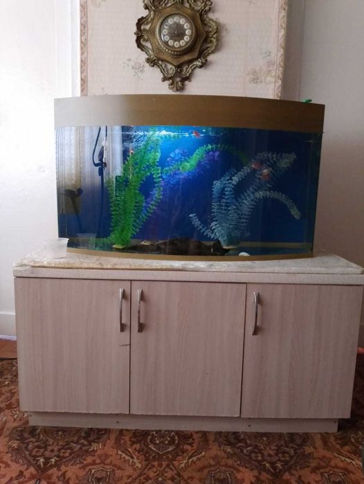 Продам аквариум срочно