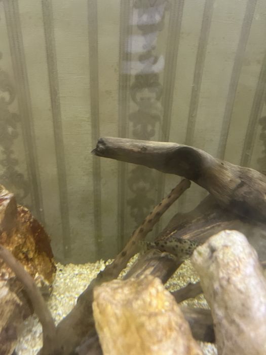 Продам аквариум большого размера.