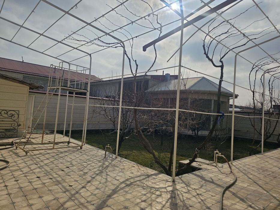 Katej sotiladi 6 sutiq